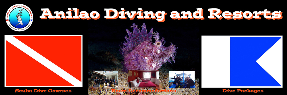 Anilao Diving And Resorts Anilao Diving Resort Anilao Dive - 